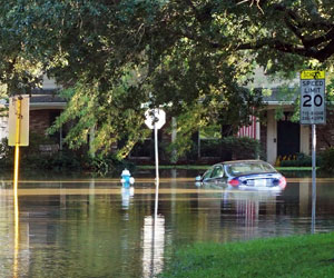 Bishop Clams Flood Services